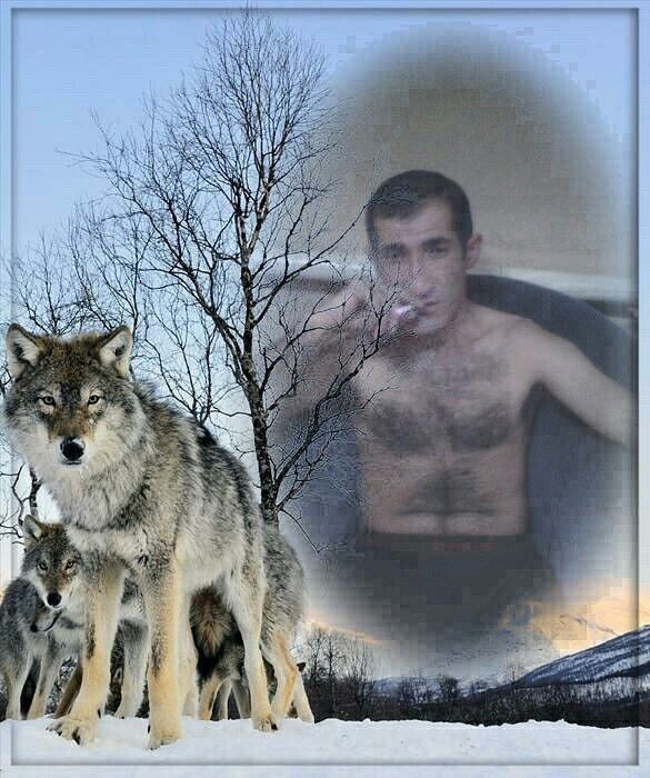 ���� 16246409 ������� ����, 41 ���, ���� ���������� � �������