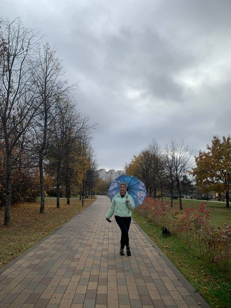 ���� 55888349 ������� ����, 50 ���, ���� ���������� � ������