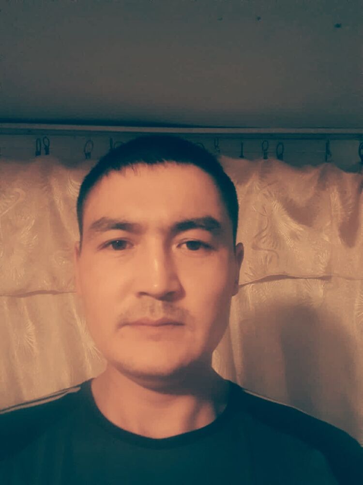  43675639  , 37 ,    