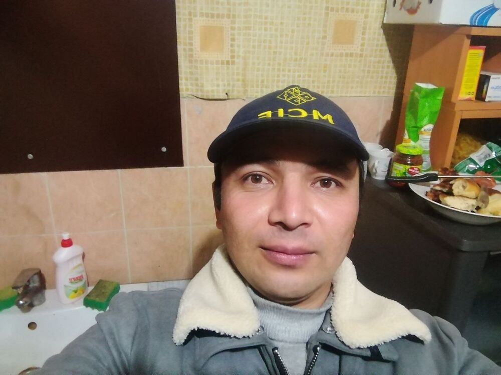  31647669  , 37 ,    