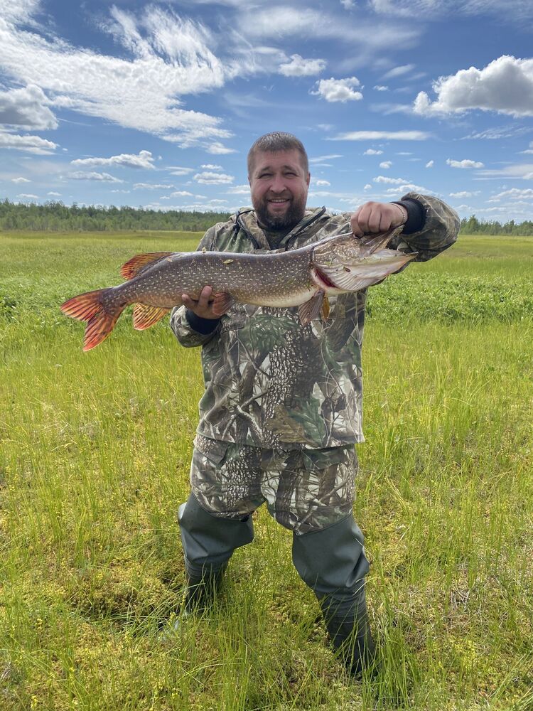 ���� 55394439 ������� �������, 41 ���, ���� ���������� � ������������