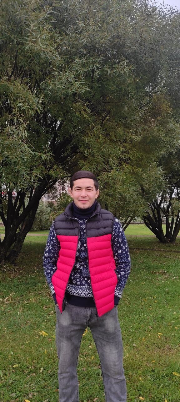  24339779  Daler, 24 ,    -