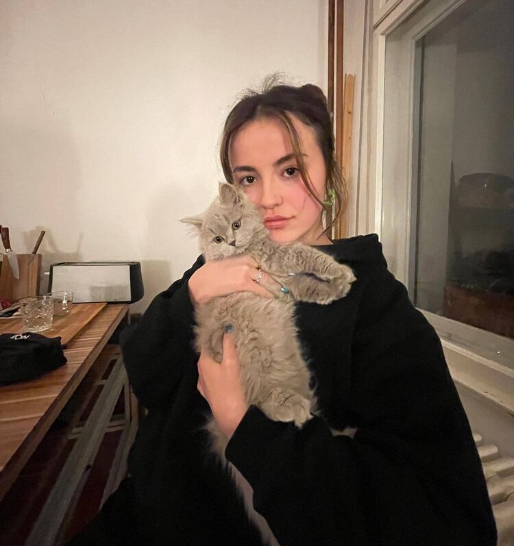 ���������� �������, ���� ������� ����, 28 ���, ������������ ��� ������, ����� � ���������