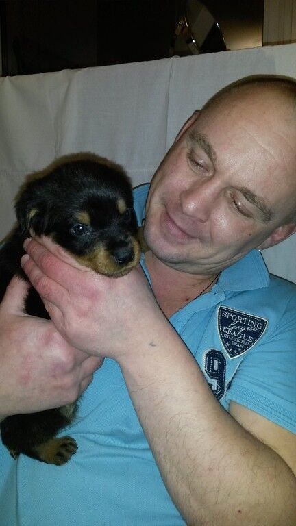 ���������� ����, ���� ������� �������, 52 ����, ������������ ��� ������, ����� � ���������, c�������� ���������