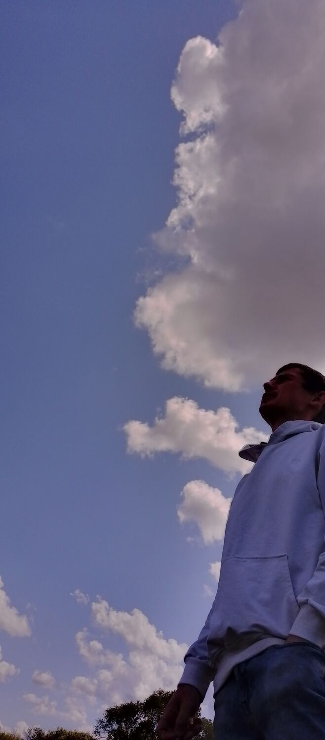 ���� 35227239 ������� �����, 34 ����, ���� ���������� � ���������