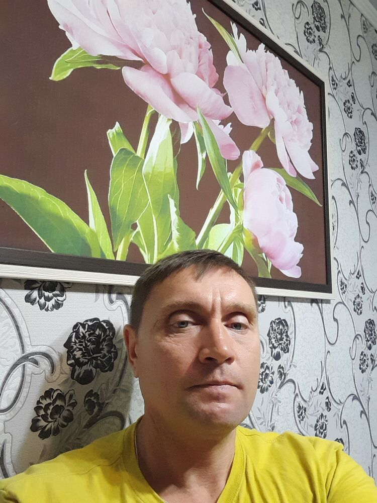  31847839  , 50 ,    