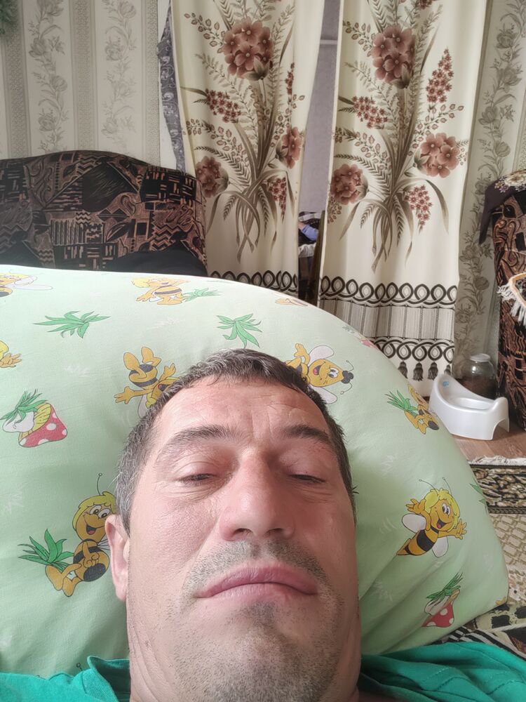  35569629  , 43 ,    