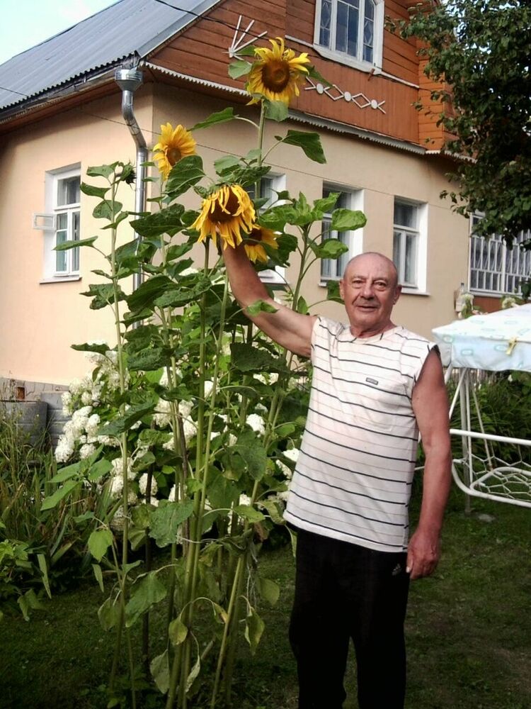   ,   , 84 ,   ,   , c 