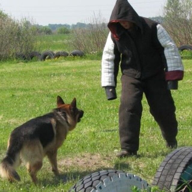 ���� 19487659 ������� ����, 29 ���, ���� ���������� � �������