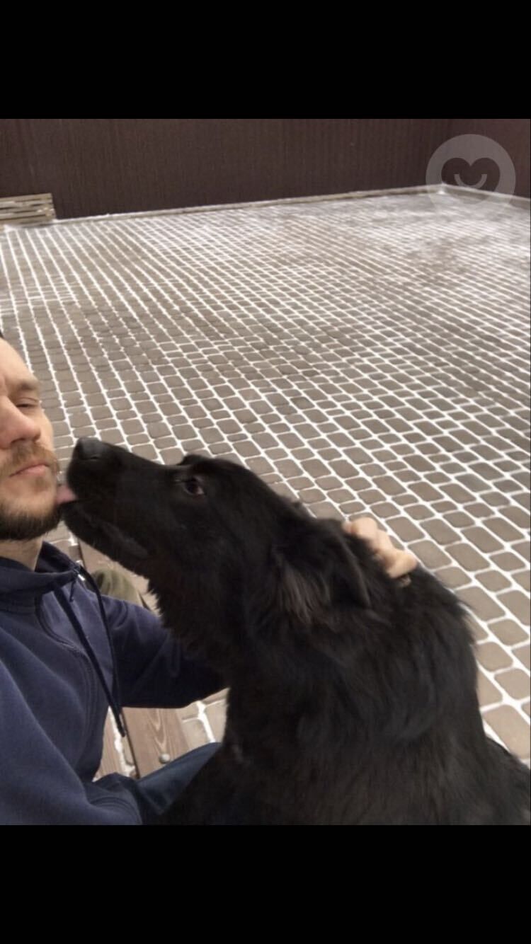 ���������� ����������, ���� ������� ����, 40 ���, ������������ ��� ������, ����� � ���������, c�������� ���������