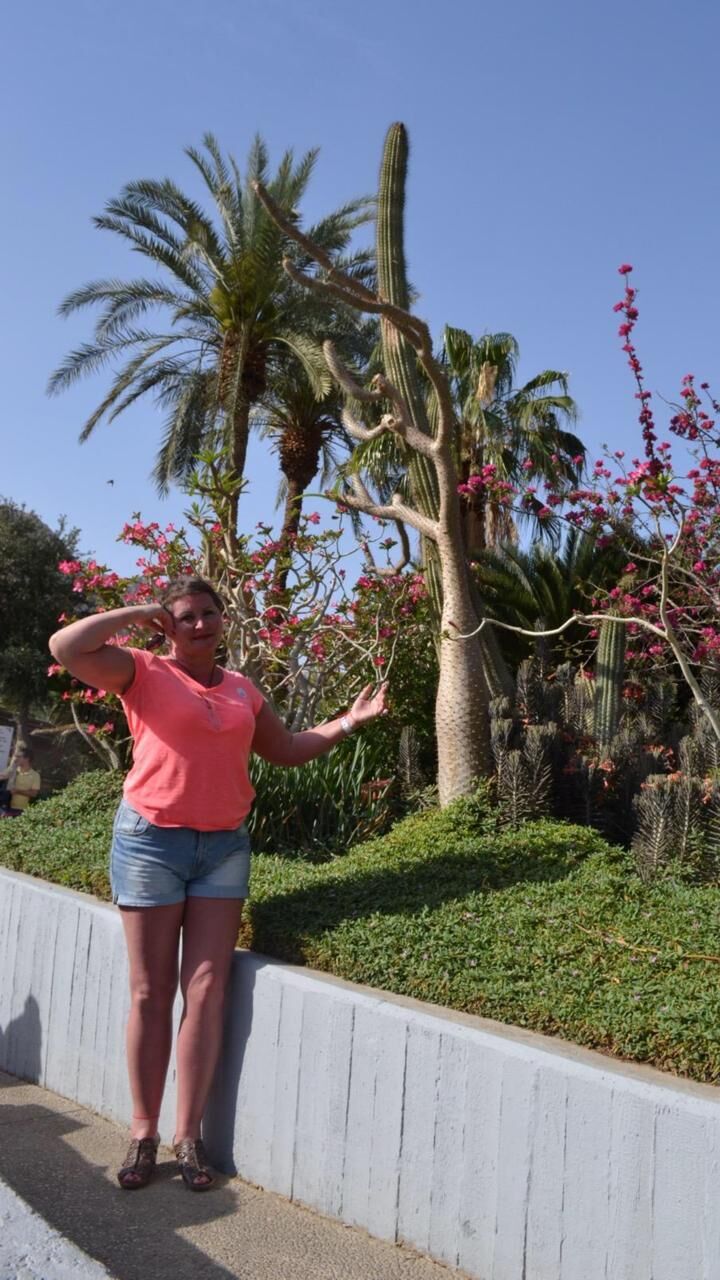 ���������� ������, ���� ������� �������, 65 ���, ������������ ��� c�������� ���������