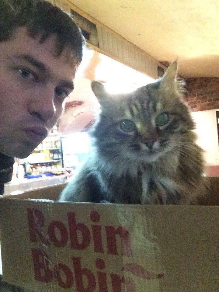 ���� 55623799 ������� ������, 36 ���, ���� ���������� � ��������