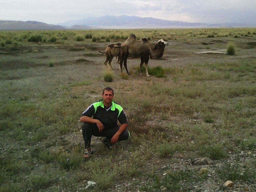 ���� 9905729 ������� ������, 36 ���, ���� ���������� � ��������