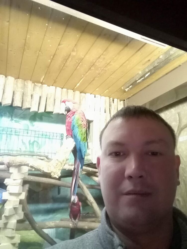  34070769  , 39 ,    
