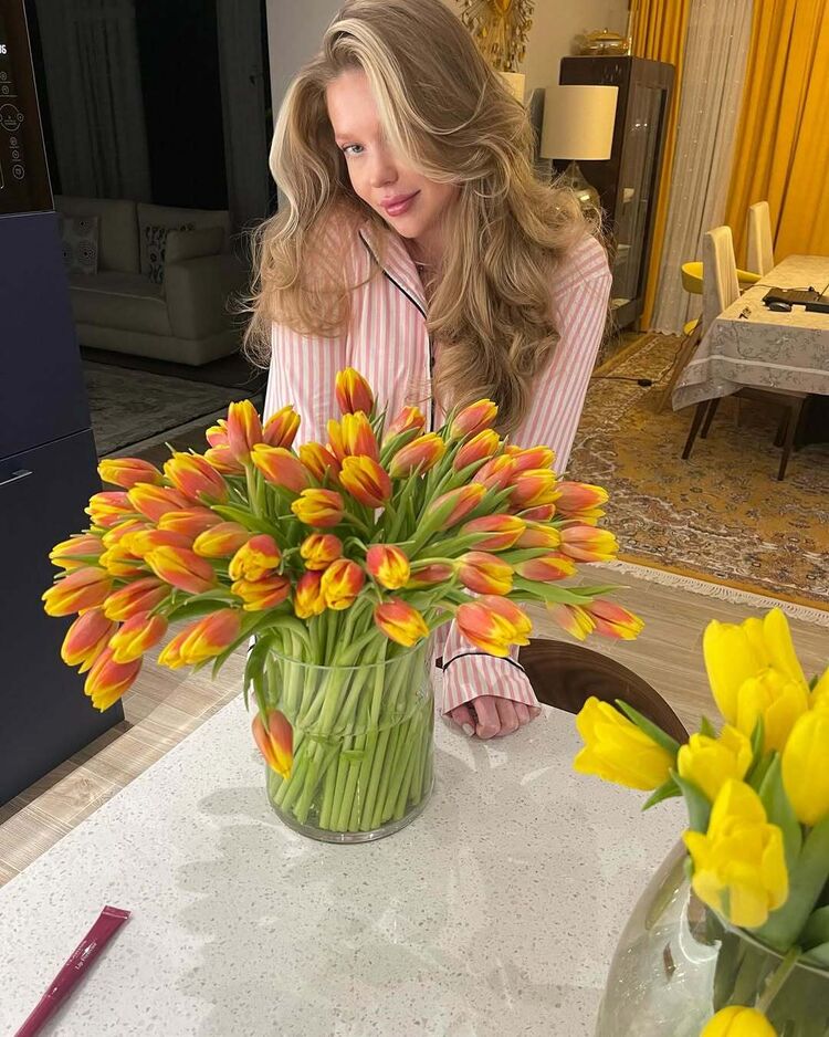  50623679  , 28 ,    -