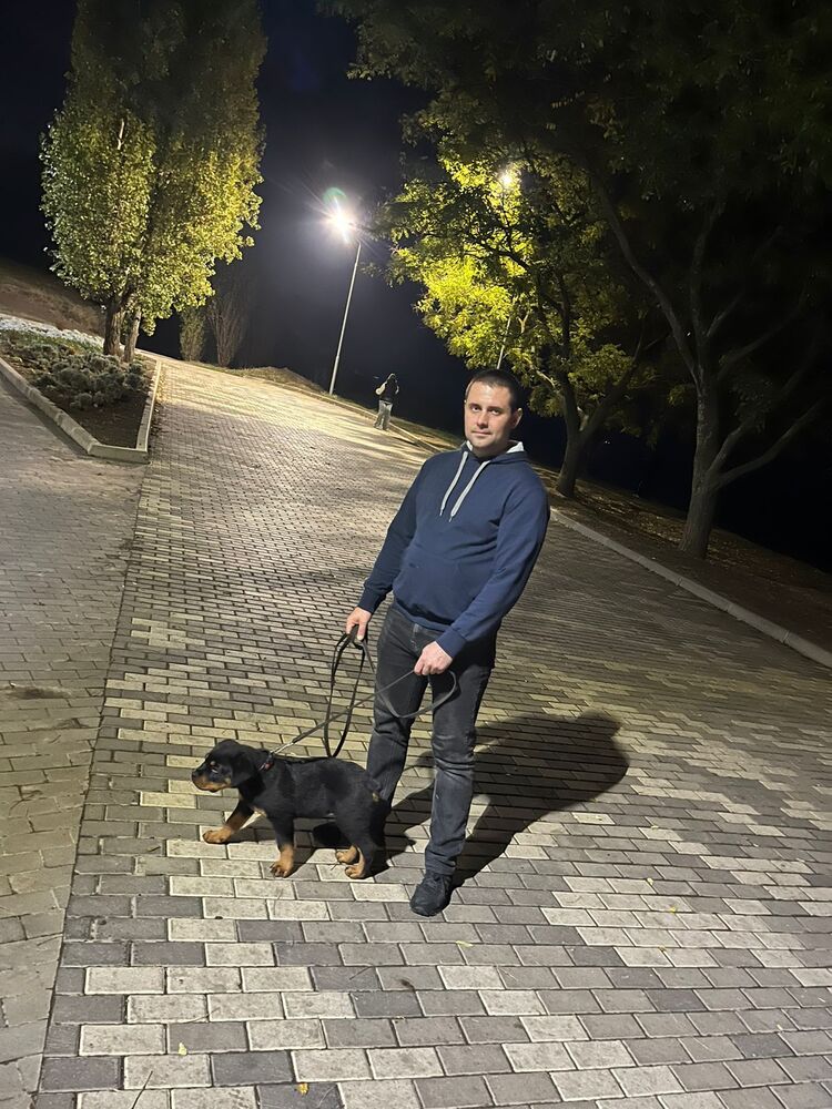 ���� 53421119 ������� ���������, 36 ���, ���� ���������� � ���������