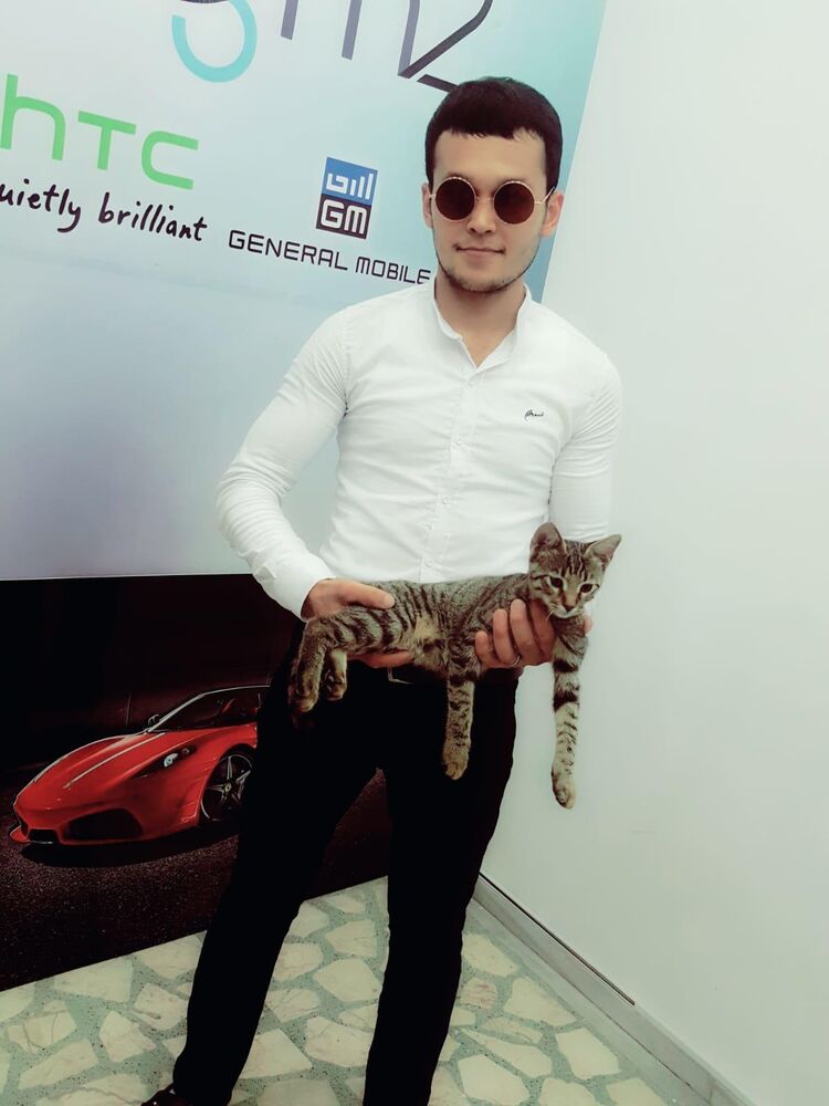  ,   Dima, 31 ,   ,   , c 