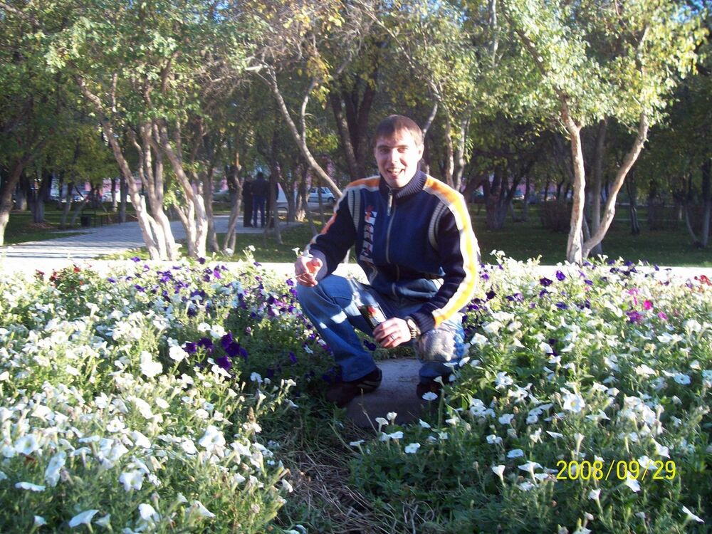  ,   BUSH, 39 ,     , c 