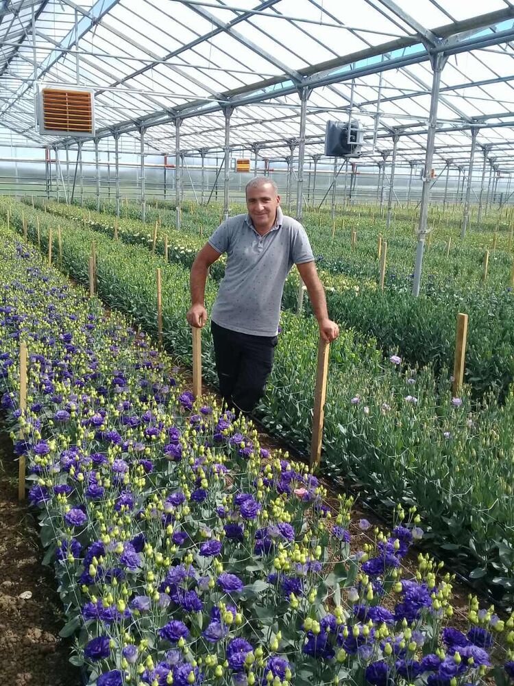 ���������� ������������, ���� ������� Aikaz, 45 ���, ������������ ��� ������, ����� � ���������