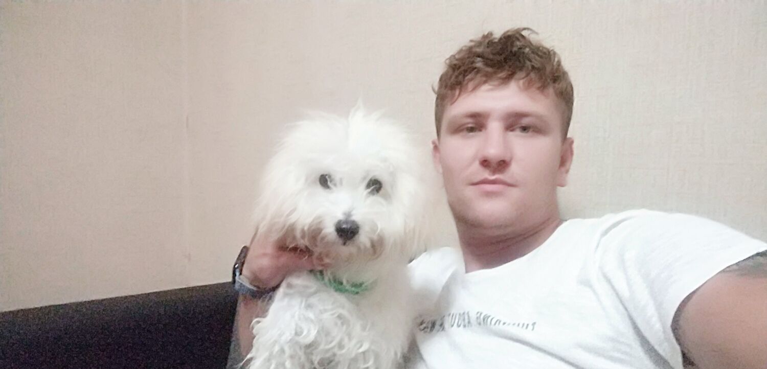 ���������� ����, ���� ������� Roman, 41 ���, ������������ ��� ������, ����� � ���������, c�������� ���������, ���������