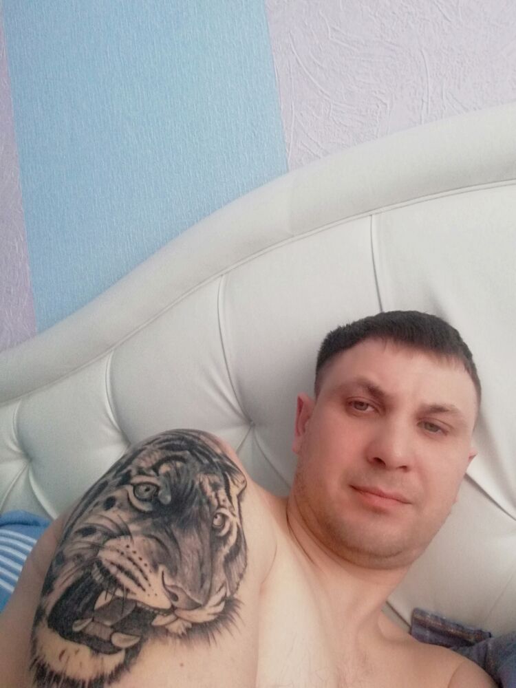  24977729  , 41 ,    