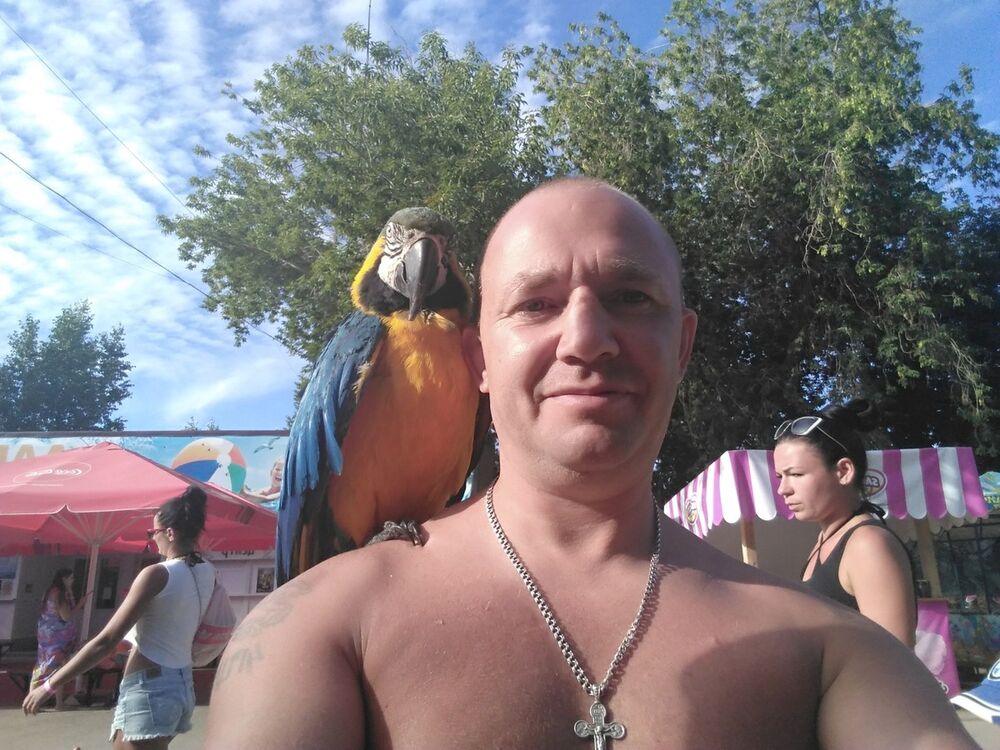  ,   , 46 ,   ,   , c 