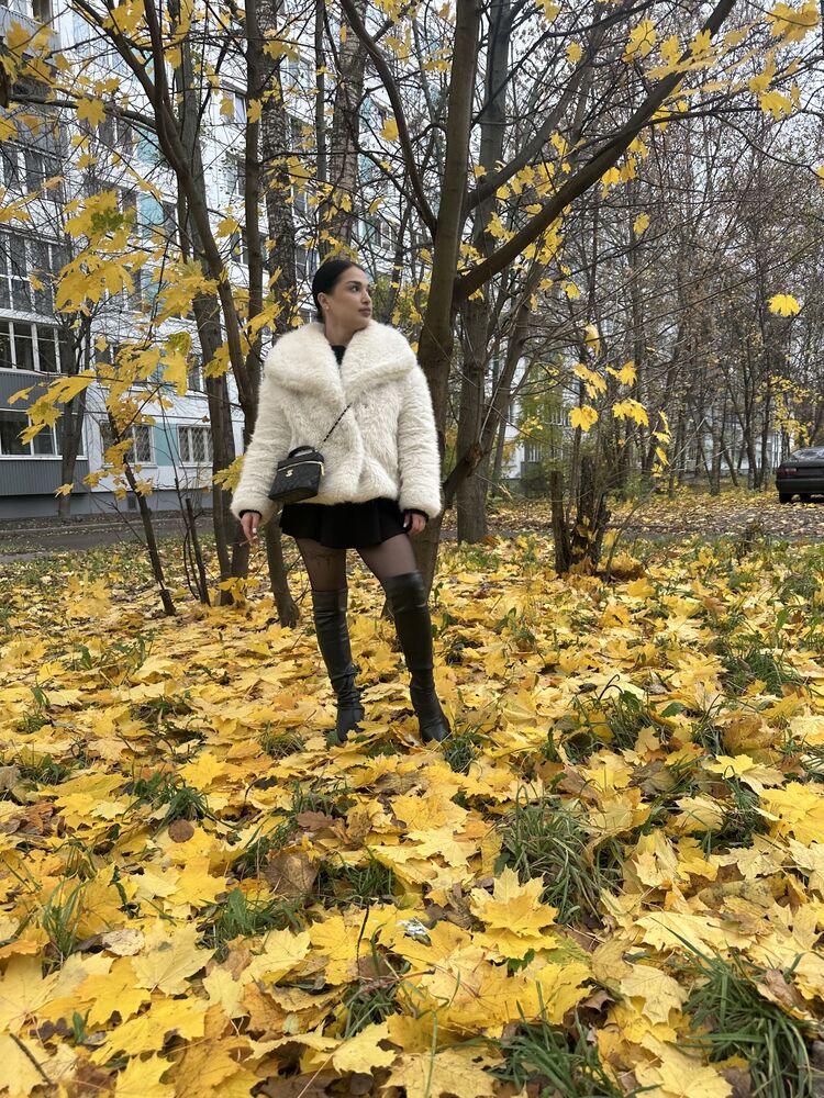  54316359  , 23 ,    -