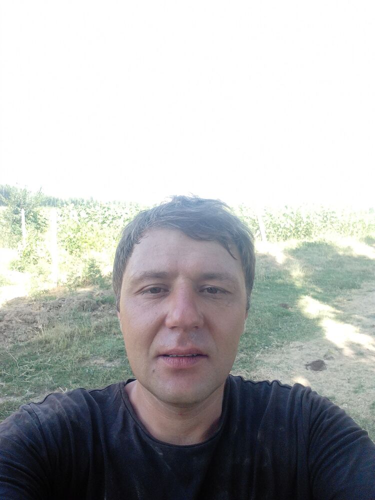  52318639  , 40 ,    