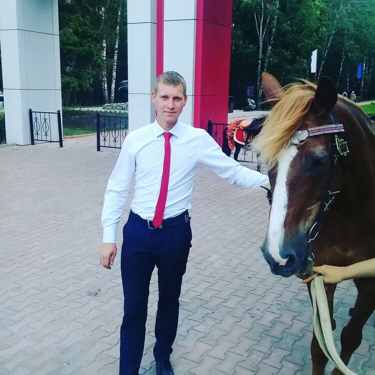 ���� 50147719 ������� ������, 31 ���, ���� ���������� � ������