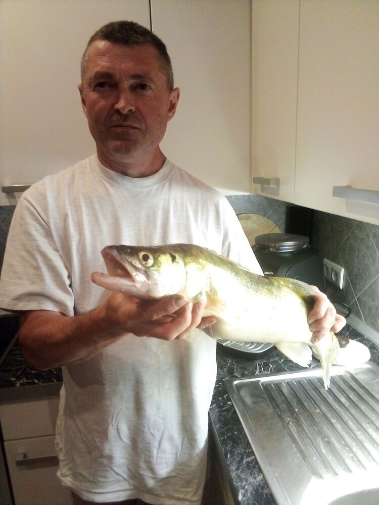  Sinsheim,   , 54 ,   ,   , c 
