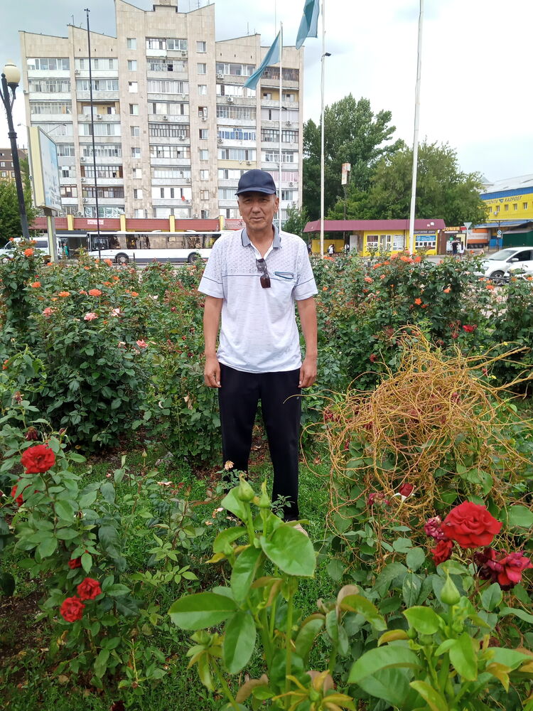  ,   , 55 ,   ,   
