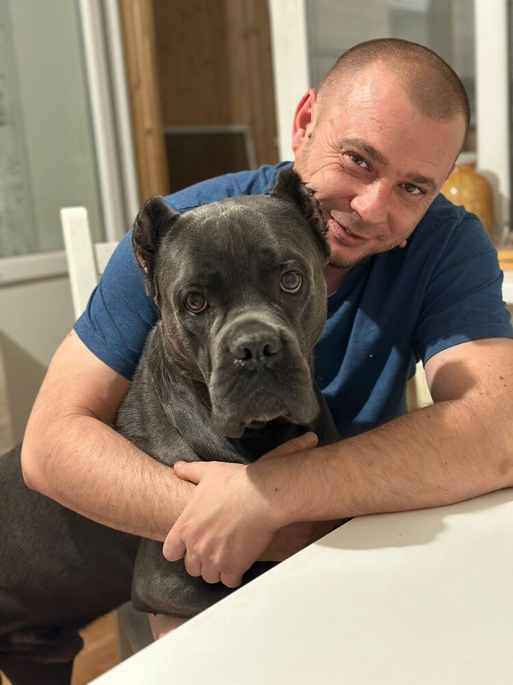 ���������� ������, ���� ������� ���������, 42 ����, ������������ ��� ������, ����� � ���������