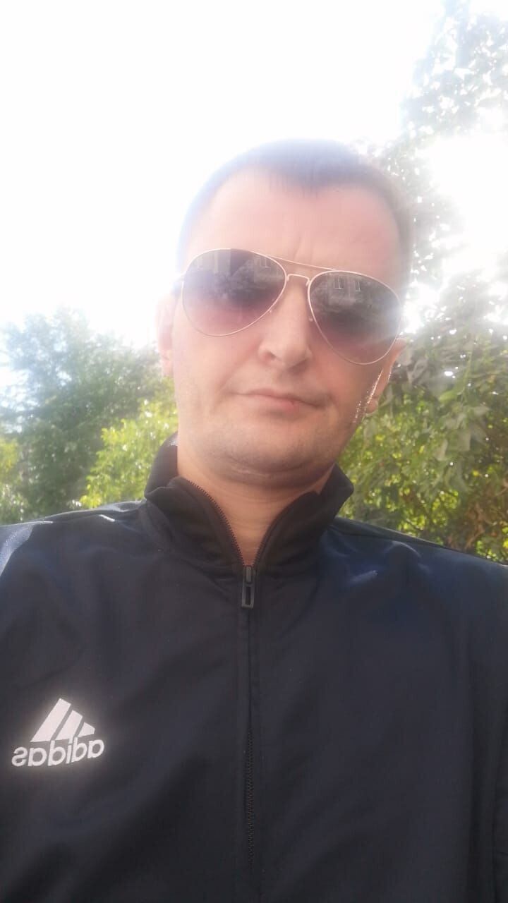  31528139  , 38 ,    