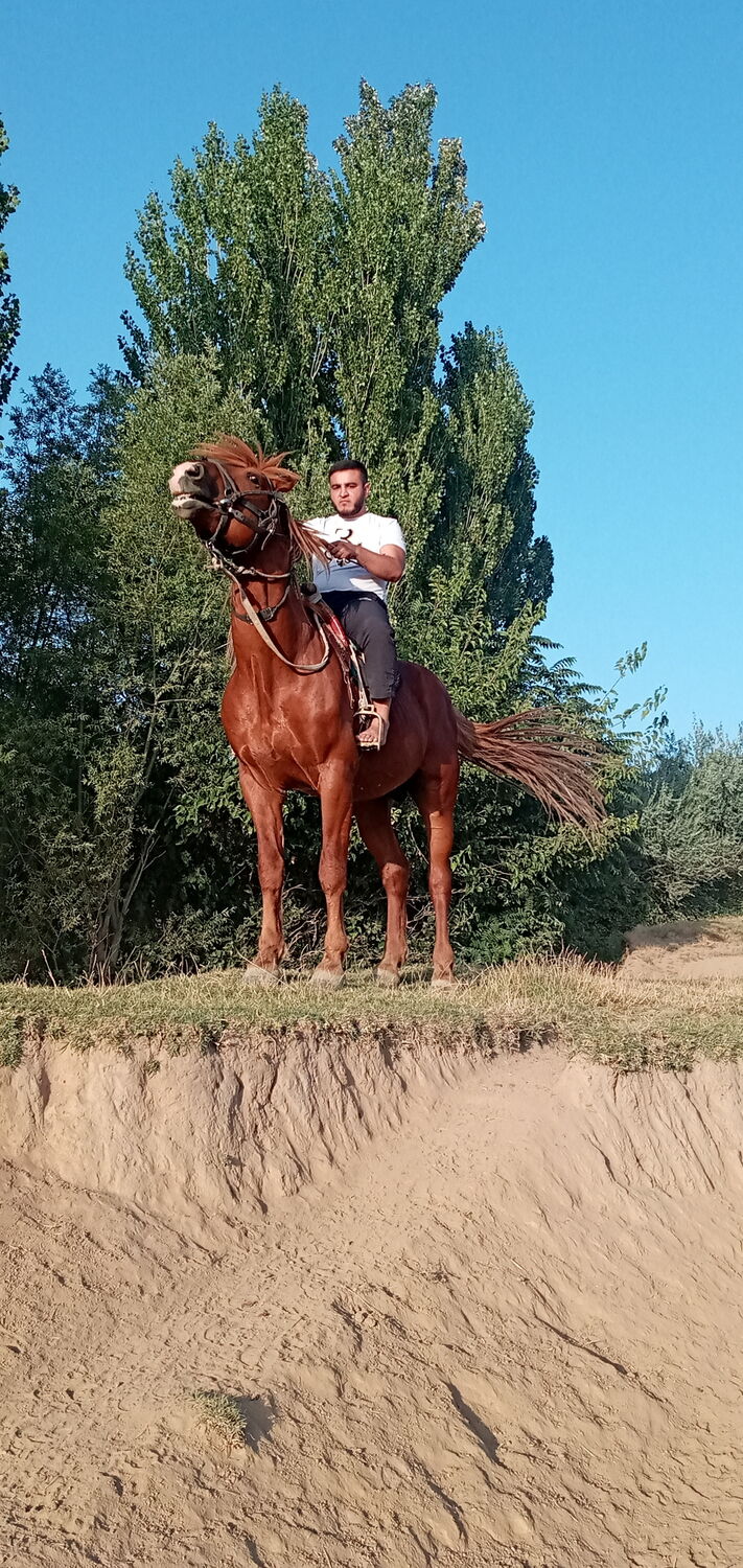 ���������� ������ ��������, ���� ������� ����, 29 ���, ������������ ��� ������, ����� � ���������