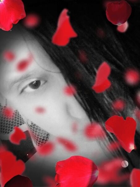 ���������� �����, ���� ������� ����, 30 ���, ������������ ��� c�������� ���������