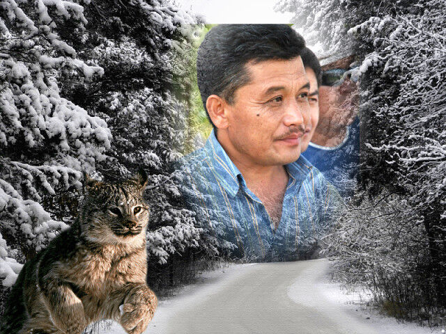 ���� 7045969 ������� ����, 58 ���, ���� ���������� � ��������