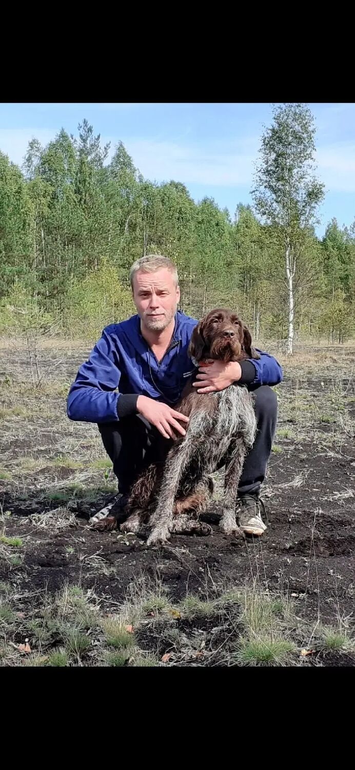 ���������� �����, ���� ������� ����, 37 ���, ������������ ��� ����� � ���������, c�������� ���������