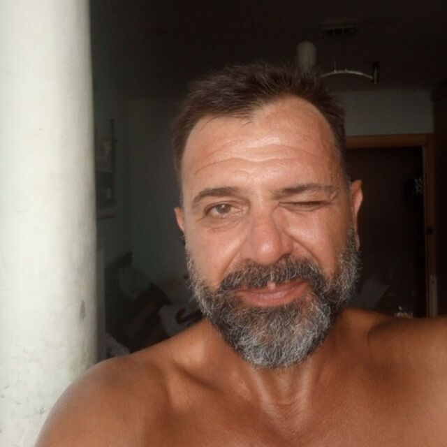  24767279   , 51 ,    