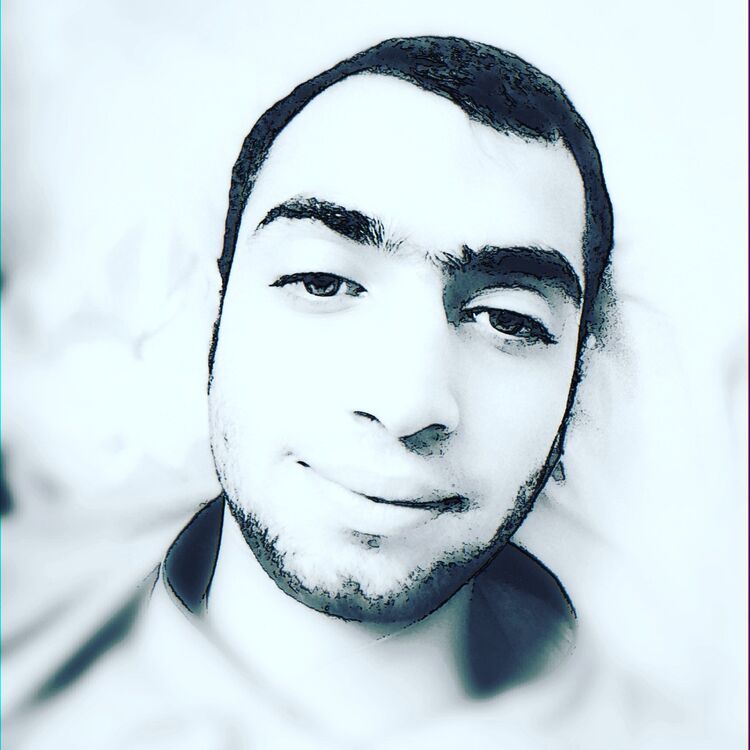  15195699  , 29 ,    