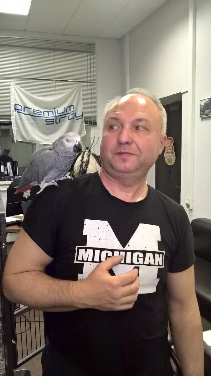  ,   , 54 ,   