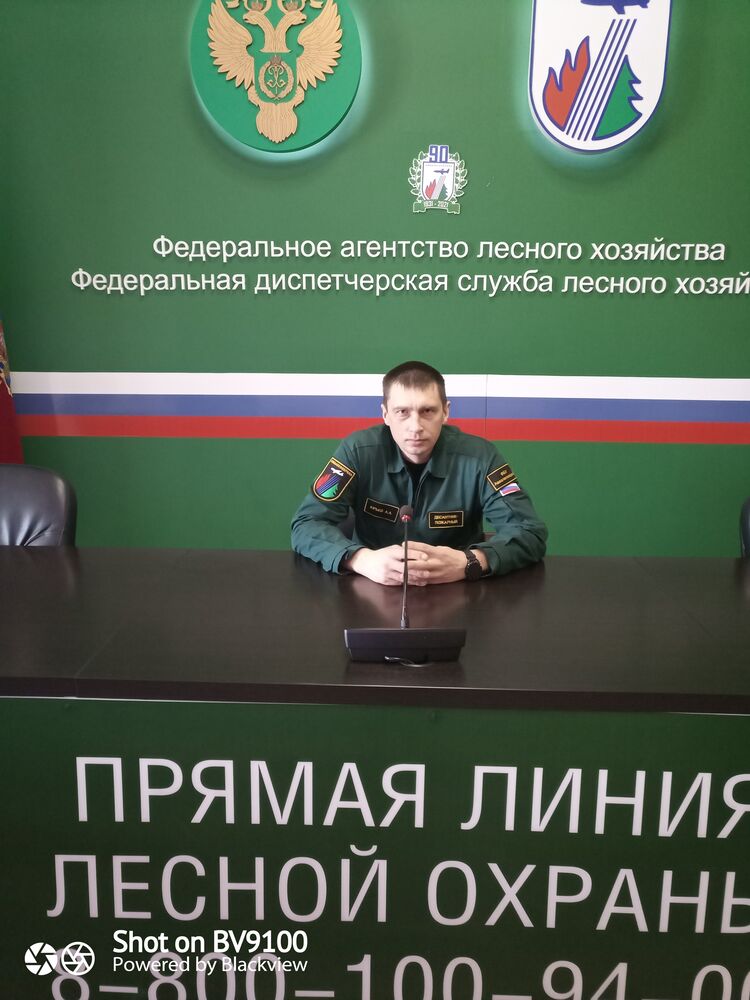 ���������� ����, ���� ������� �������, 42 ����, ������������ ��� ������, ����� � ���������