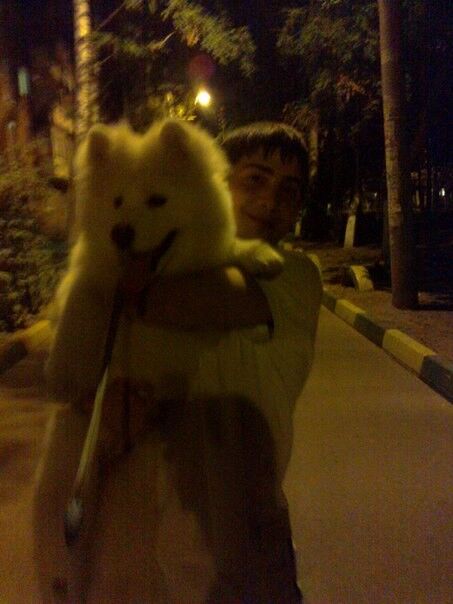 ���������� ������ ��������, ���� ������� ������, 31 ���, ������������ ��� ����� � ���������, c�������� ���������