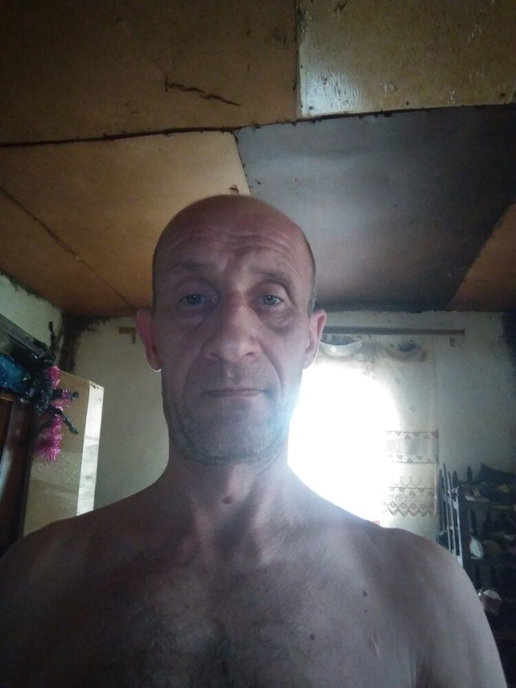  15723499  , 47 ,    