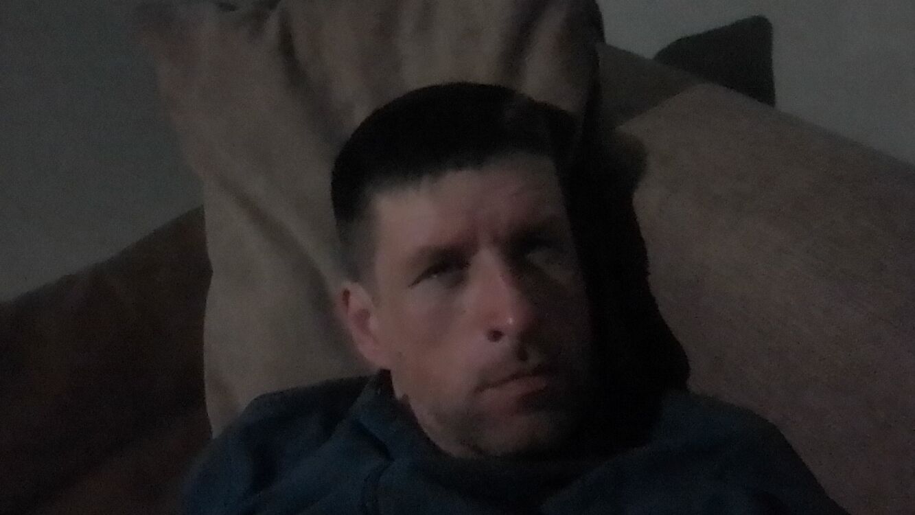  33513449  , 41 ,    