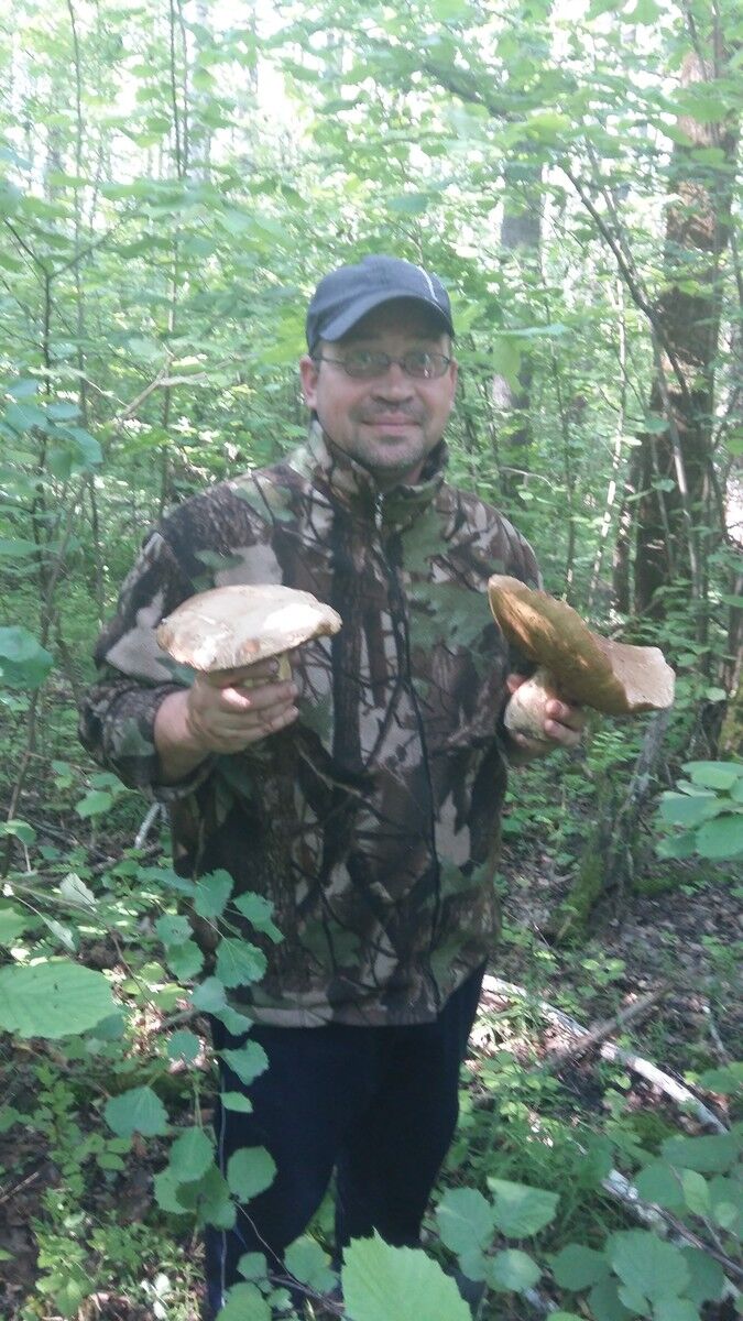 ���������� ����, ���� ������� ����������, 48 ���, ������������ ��� ������, ����� � ���������, c�������� ���������