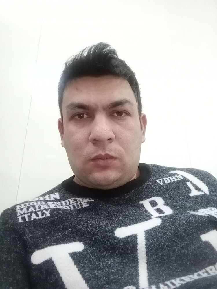  41773639  , 31 ,    -