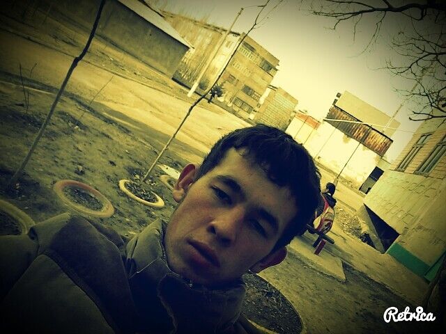  52764319  AliSheR, 29 ,    