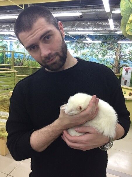 ���� 16661089 ������� �����, 39 ���, ���� ���������� � �������