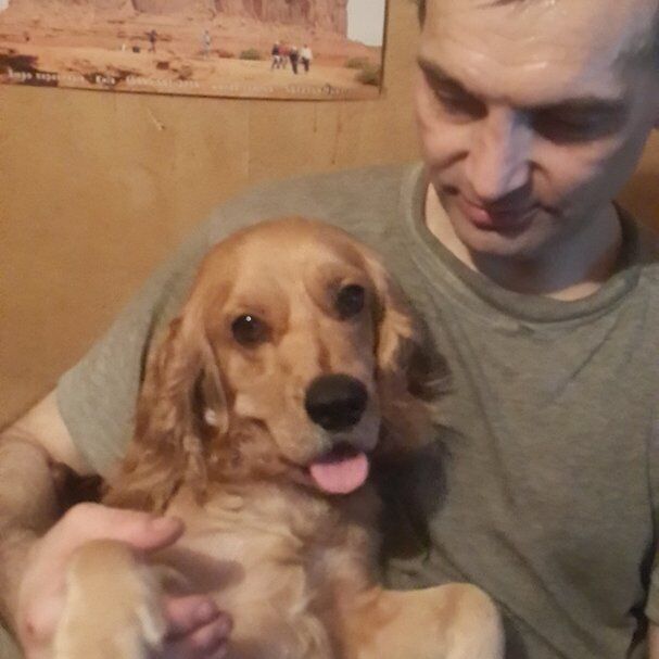 ���� 55863219 ������� ������, 50 ���, ���� ���������� � �����