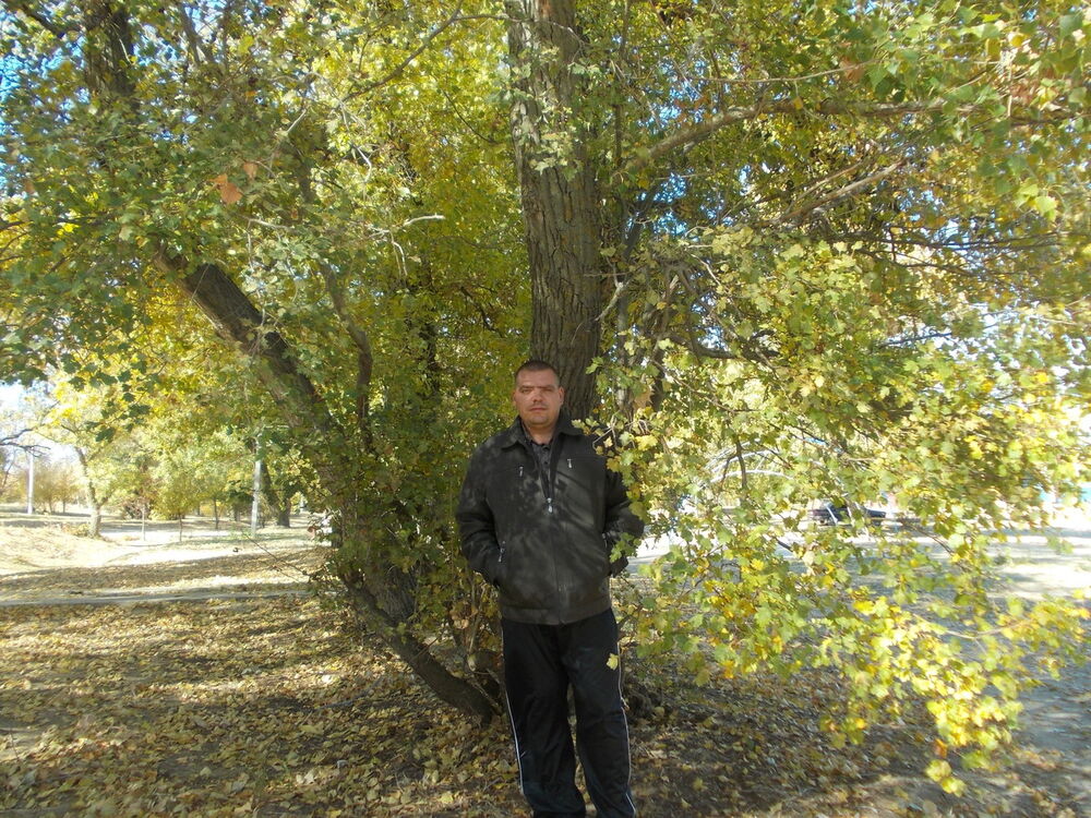 ���� 11683749 ������� ������, 42 ����, ���� ���������� � �����������